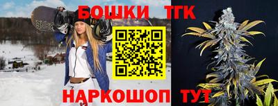 индика Заволжье