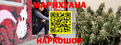 индика Заволжье
