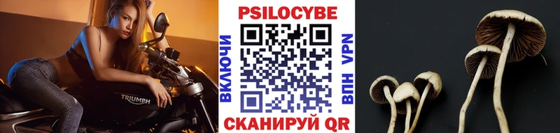 купить закладку  Элиста  Галлюциногенные грибы Psilocybine cubensis 