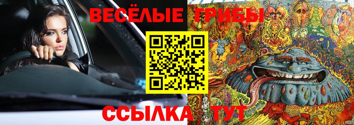 Псилоцибиновые грибы мухоморы Элиста
